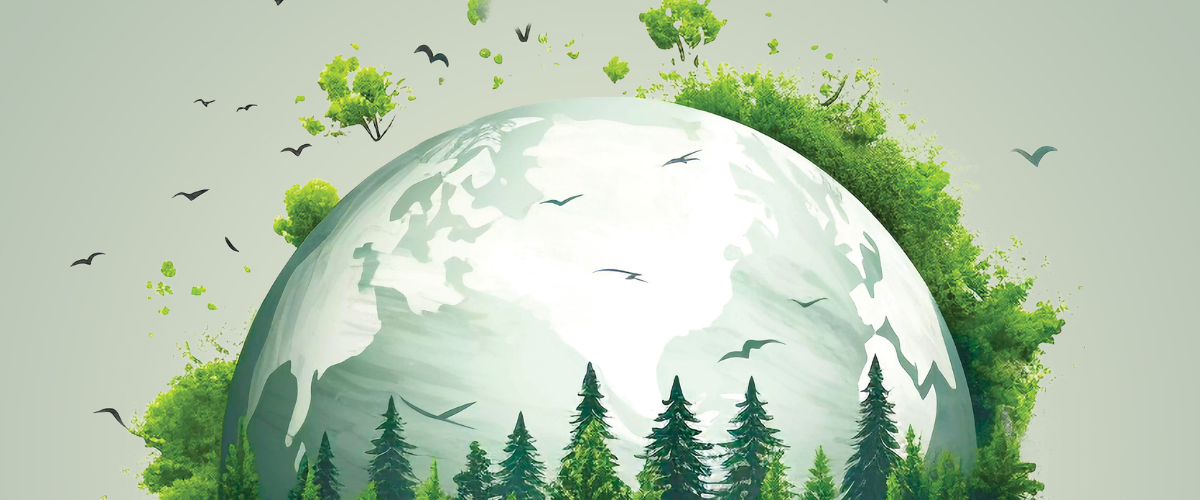 Shaping the Future of Packaging with ISCC Plus Assurance